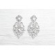 Exquisite crystals earrings